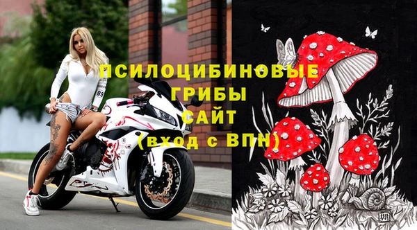 стаф Михайлов