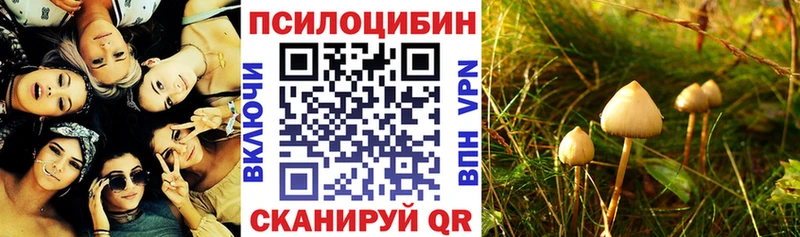 где можно купить наркотик  Орлов  Псилоцибиновые грибы ЛСД 